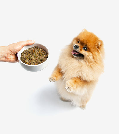 Cooked Food for Dogs: Premium Meal with Lamb & Rice for Optimal Health
