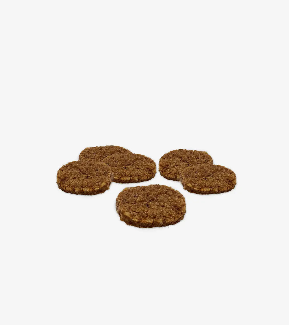 Mini Burgers+ Chicken with Blueberries & Cranberries | Treats & Chews | Human & Pets™
