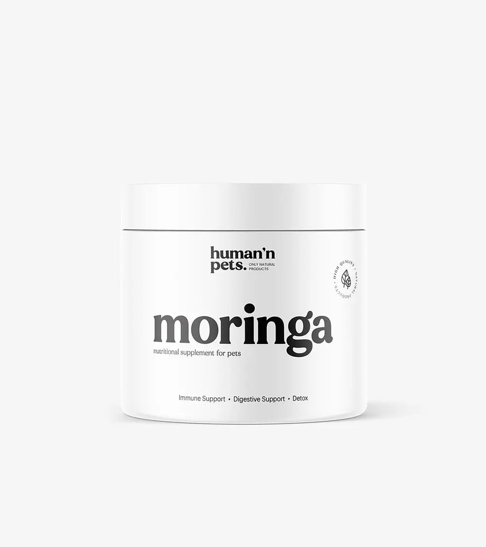 Moringa Powder | Nutritional Supplements | Human & Pets™