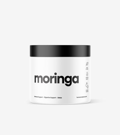 Moringa powder bowl with fresh moringa leaves showcasing nutrient-rich superfood for pets
