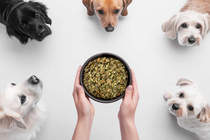 Dog Meal with Chicken