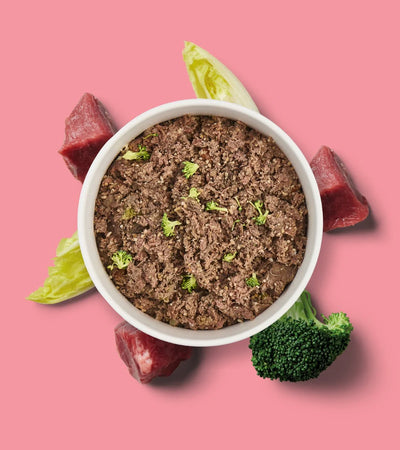 Fresh Beef Meal