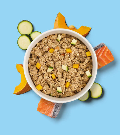Fresh Salmon Meal