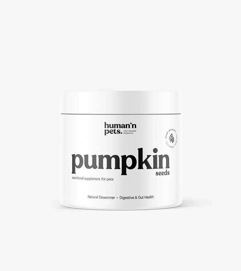 Pumpkin Seeds Powder | Nutritional Supplements | Human & Pets™