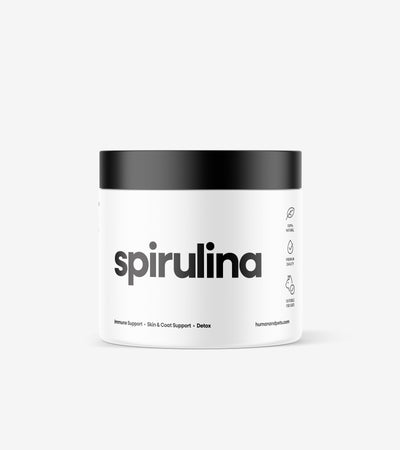 Container of green spirulina powder with wooden scoop on wooden surface