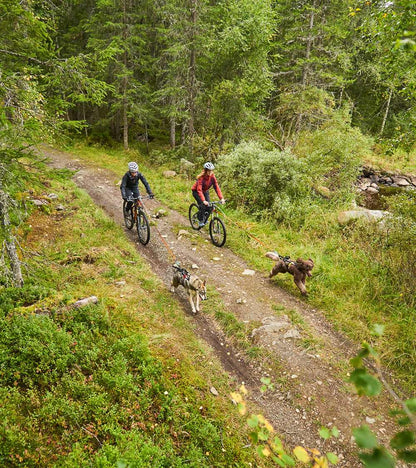 Bike Antenna KLICKfix for Safe Dog Biking Adventures