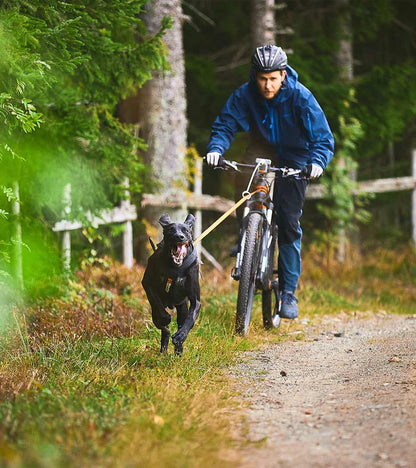 Bike Antenna KLICKfix for Safe Dog Biking Adventures