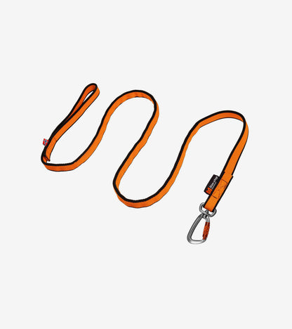 Bungee Leash