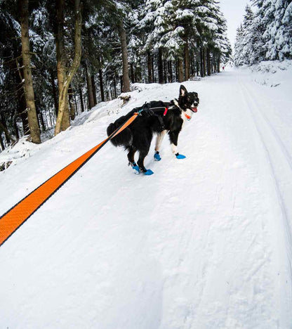 Bungee Leash - Ultimate Comfort & Safety for Your Dog