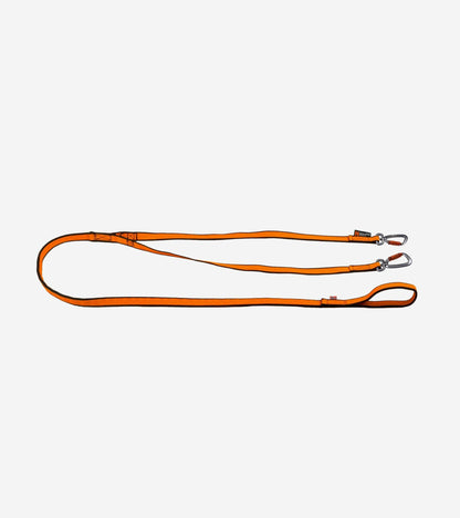 Bungee Leash Double