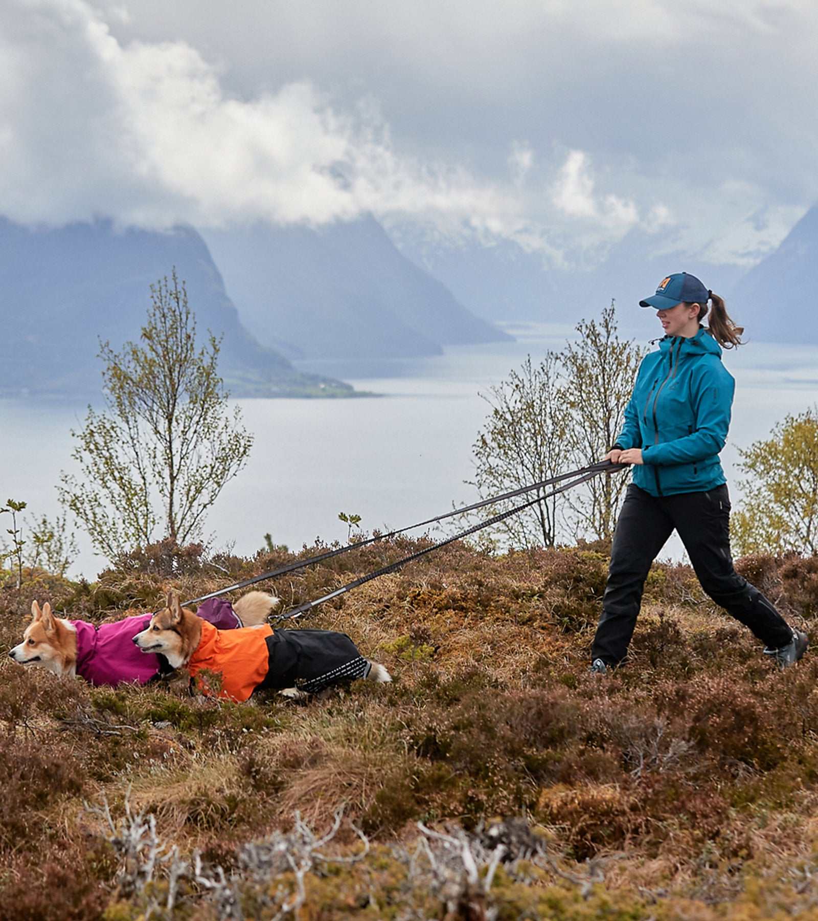 Fjord Raincoat - High-Performance Dog Raincoat for All Weather