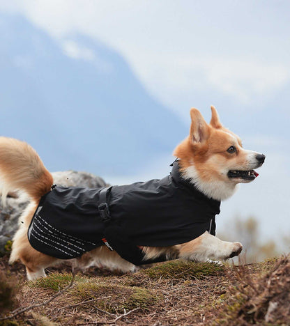 Fjord Raincoat - High-Performance Dog Raincoat for All Weather