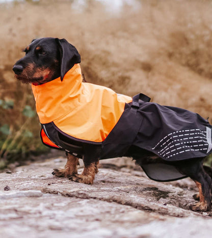 Fjord Raincoat - High-Performance Dog Raincoat for All Weather