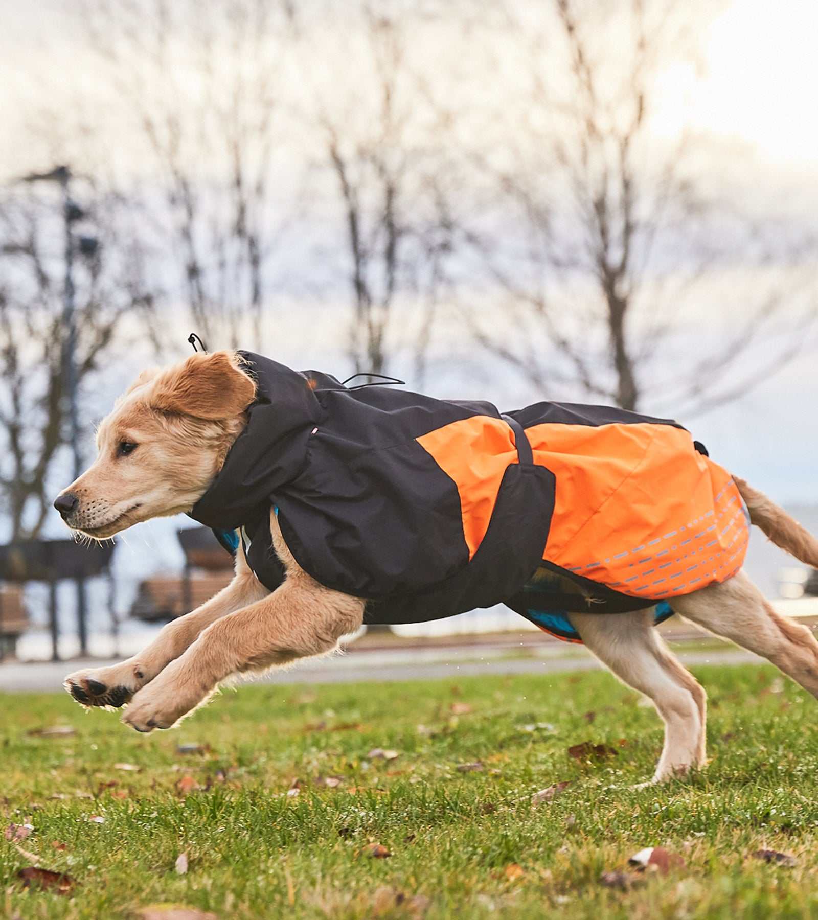 Glacier Jacket 2.0 - Premium Winter Coat for Active Dogs