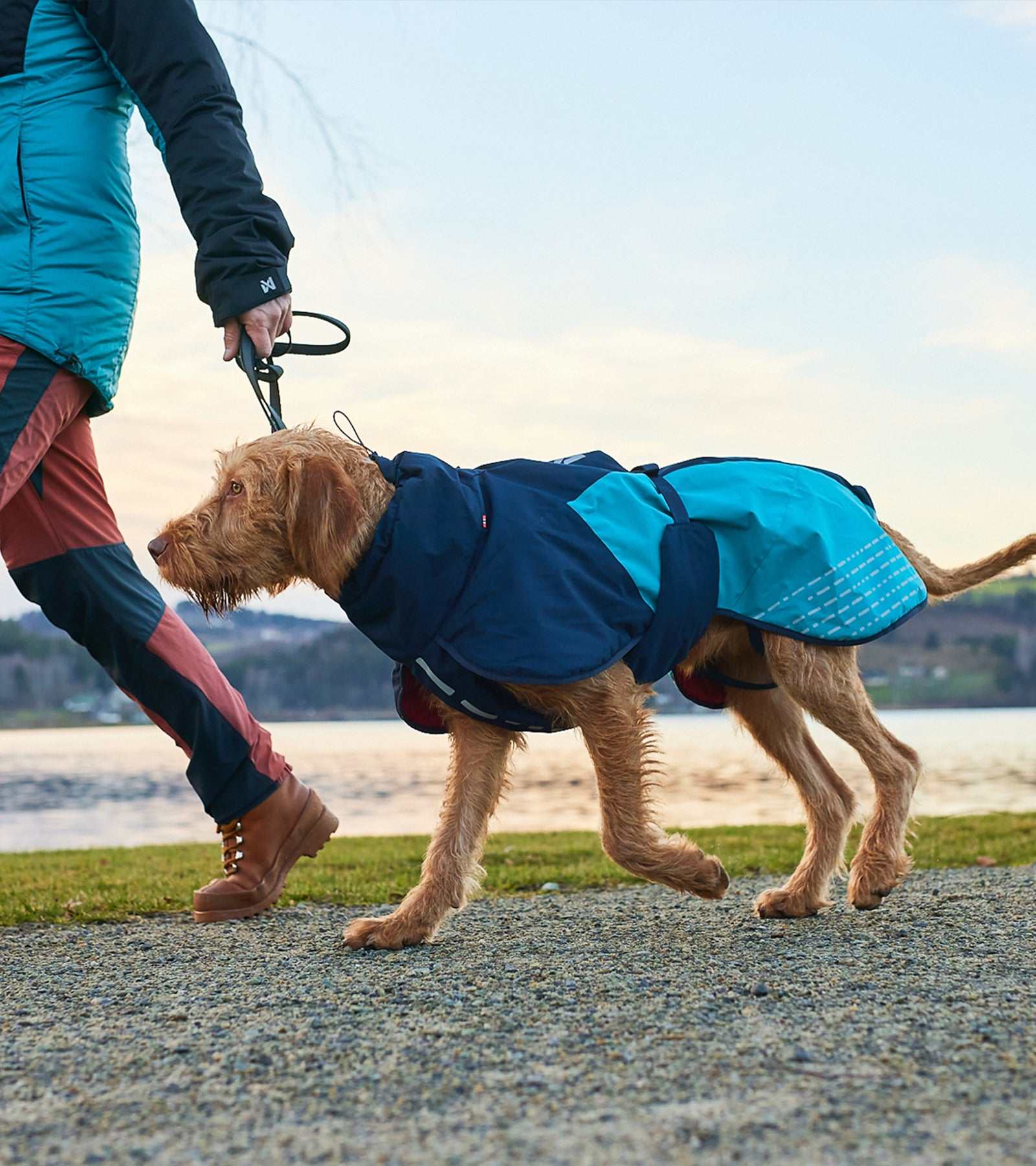 Glacier Jacket 2.0 - Premium Winter Coat for Active Dogs