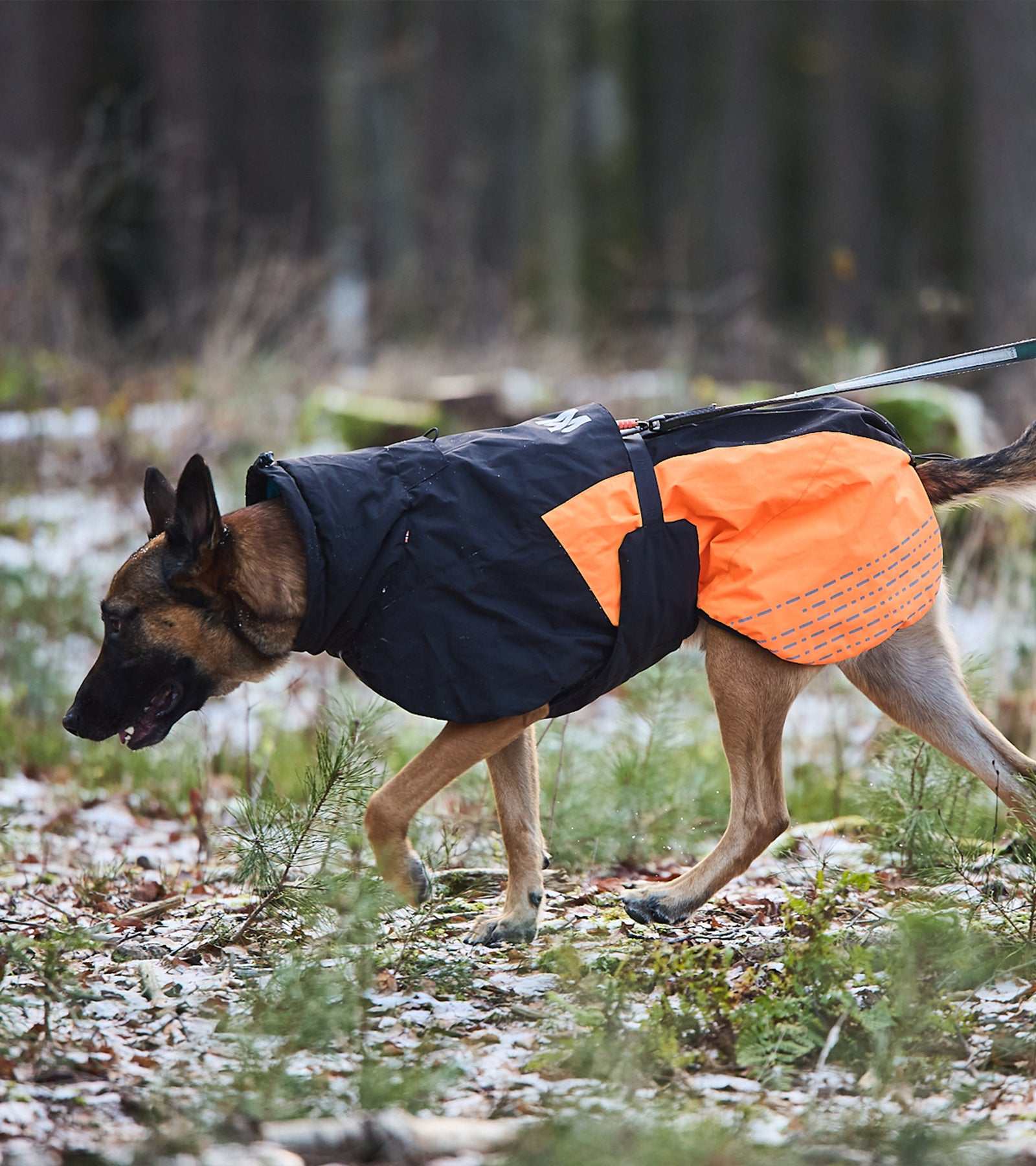 Glacier Jacket 2.0 - Premium Winter Coat for Active Dogs