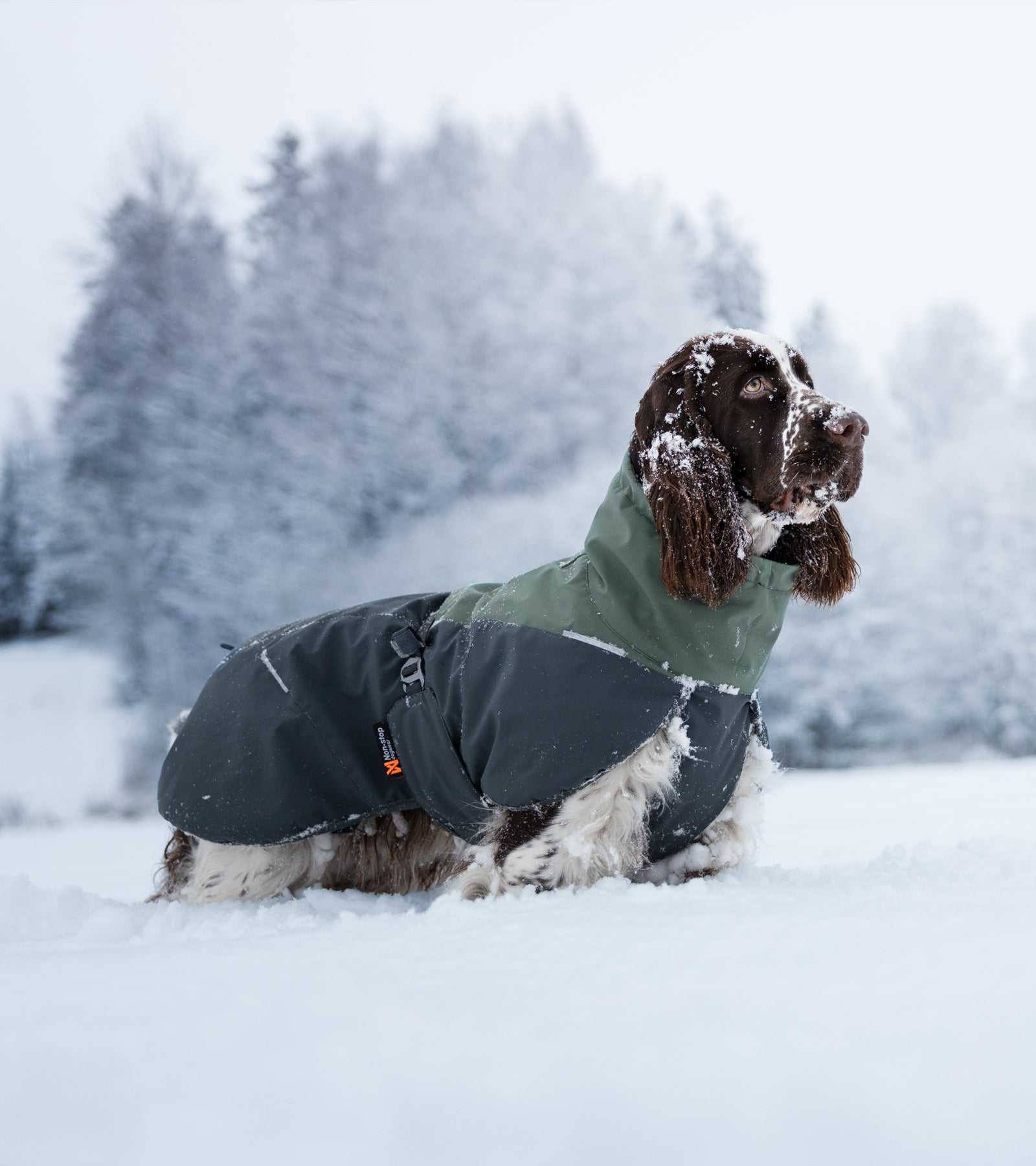 Glacier Wool Jacket 2.0 - Windproof & Water-Repellent for Dogs