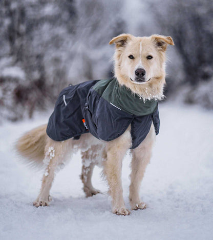 Glacier Wool Jacket 2.0 - Windproof & Water-Repellent for Dogs