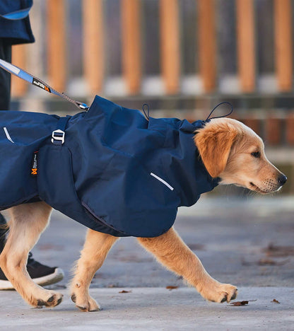 Glacier Wool Jacket 2.0 - Windproof & Water-Repellent for Dogs