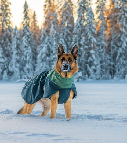 Glacier Wool Jacket 2.0 - Windproof & Water-Repellent for Dogs