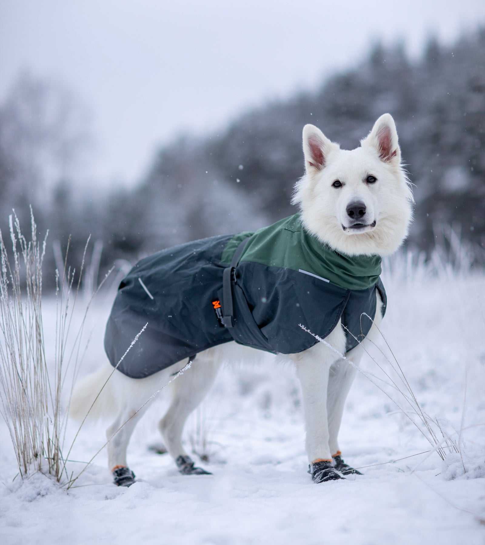 Glacier Wool Jacket 2.0 - Windproof & Water-Repellent for Dogs