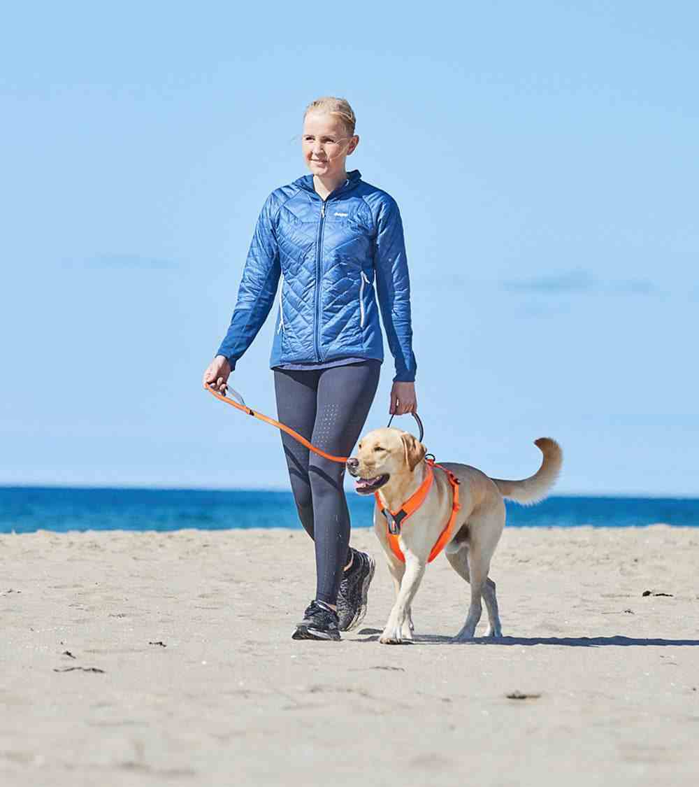 Move Leash: Secure, Comfortable & Stylish Dog Leash