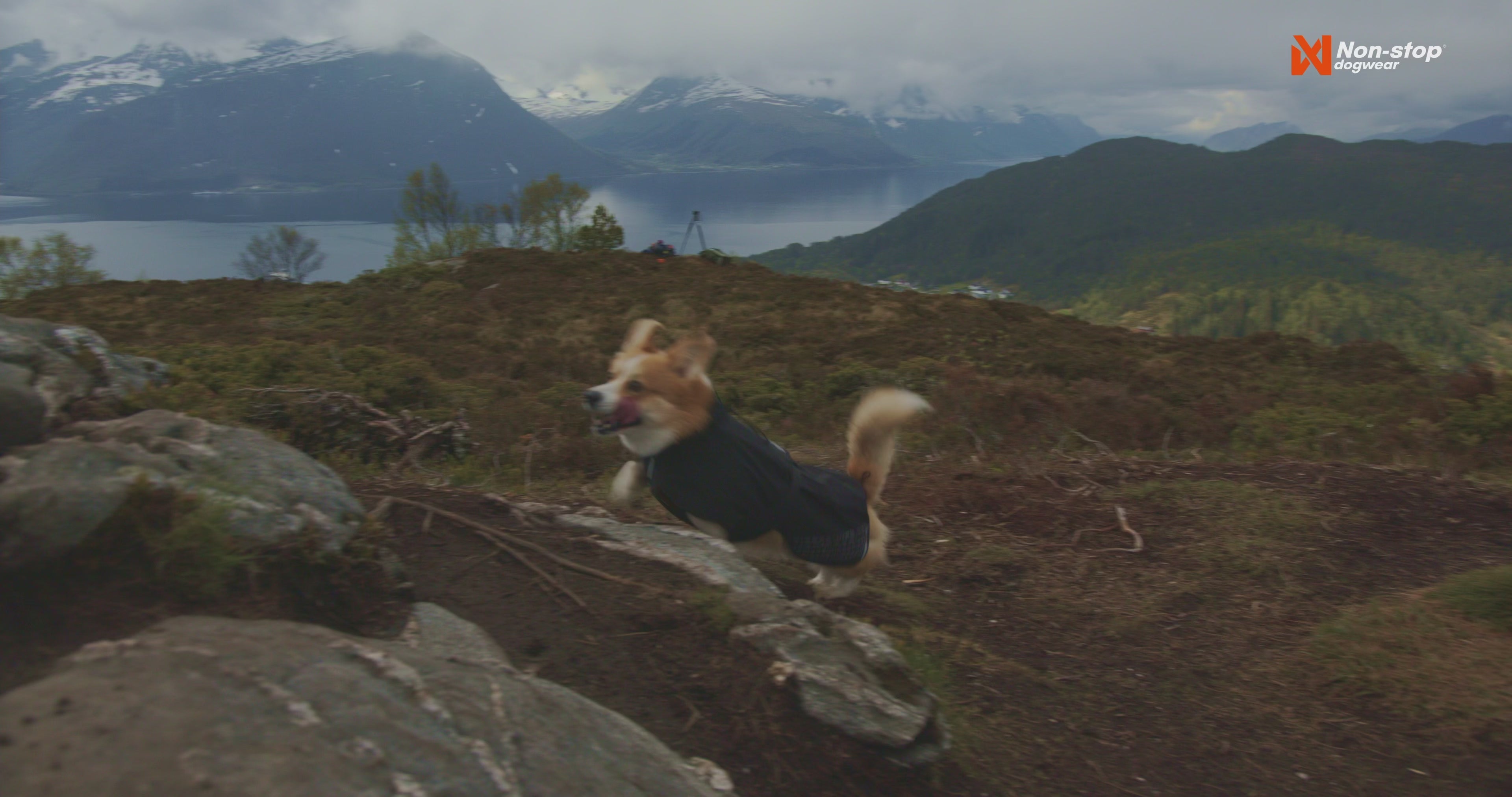 Fjord Raincoat