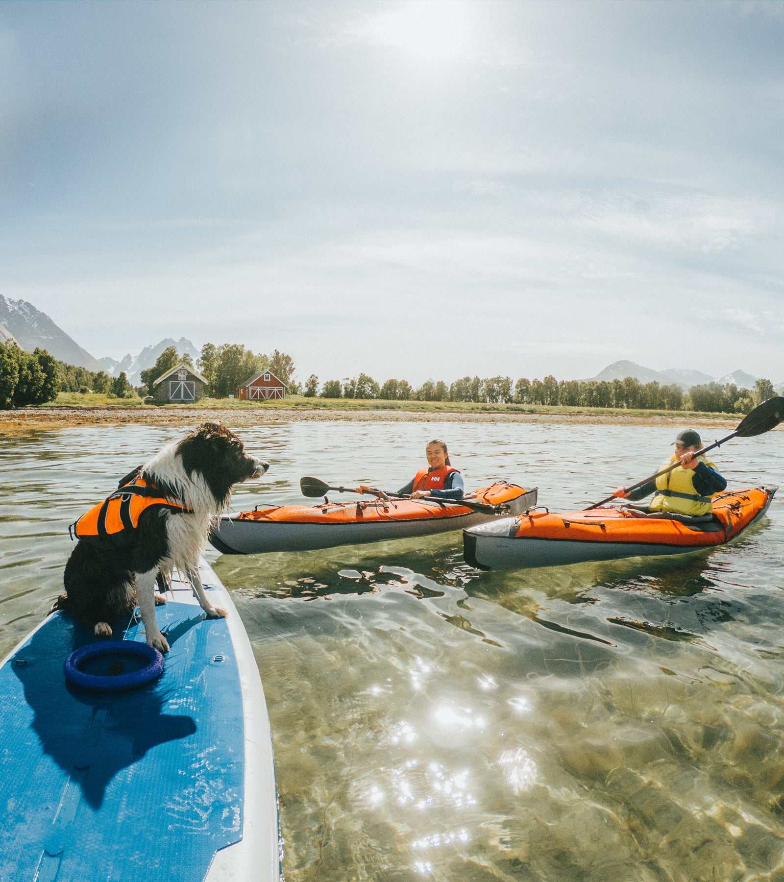 Safe Life Jacket 2.0 - The Perfect Combination of Safety, Comfort, and Practicality, Designed to Enhance your Dog's Water Experience