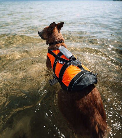 Safe Life Jacket 2.0 - The Perfect Combination of Safety, Comfort, and Practicality, Designed to Enhance your Dog's Water Experience