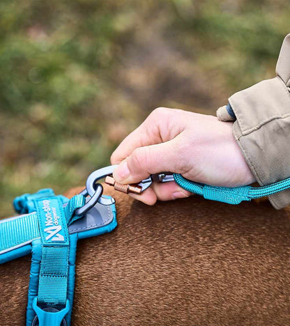 Trekking Rope Leash