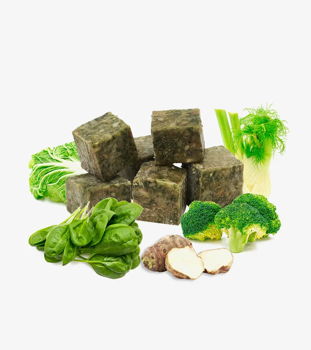 Veggie Cubes III (10 Cubes) - BARF Food | Human & Pets
